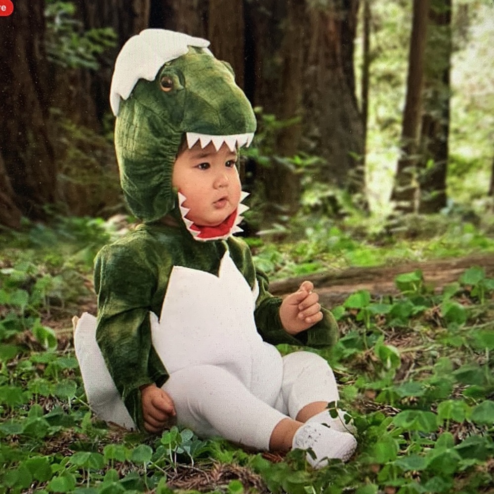 Pottery barn kids baby dinosaur egg costume 6-12 months